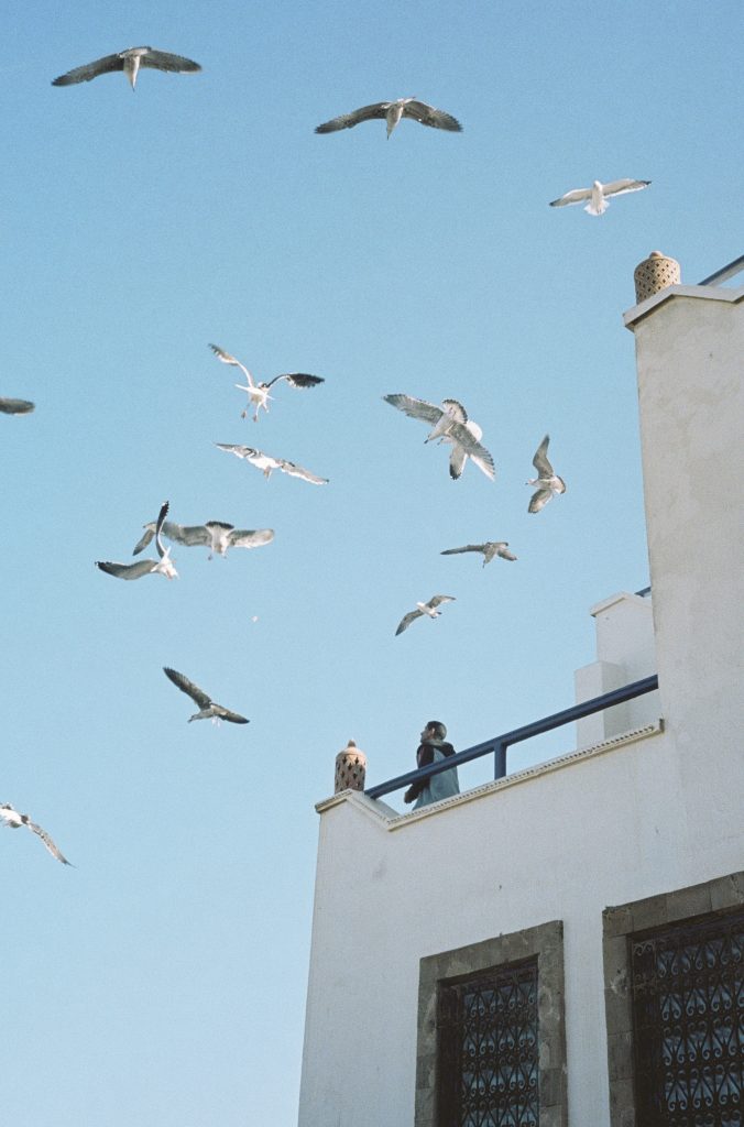 Fotografia d'un home donant menjar a les gavines a Essaouira, Marroc, capturada per Júlia Olivé Studio, artista multidisciplinar especialitzada en fotografia, disseny i il·lustració.