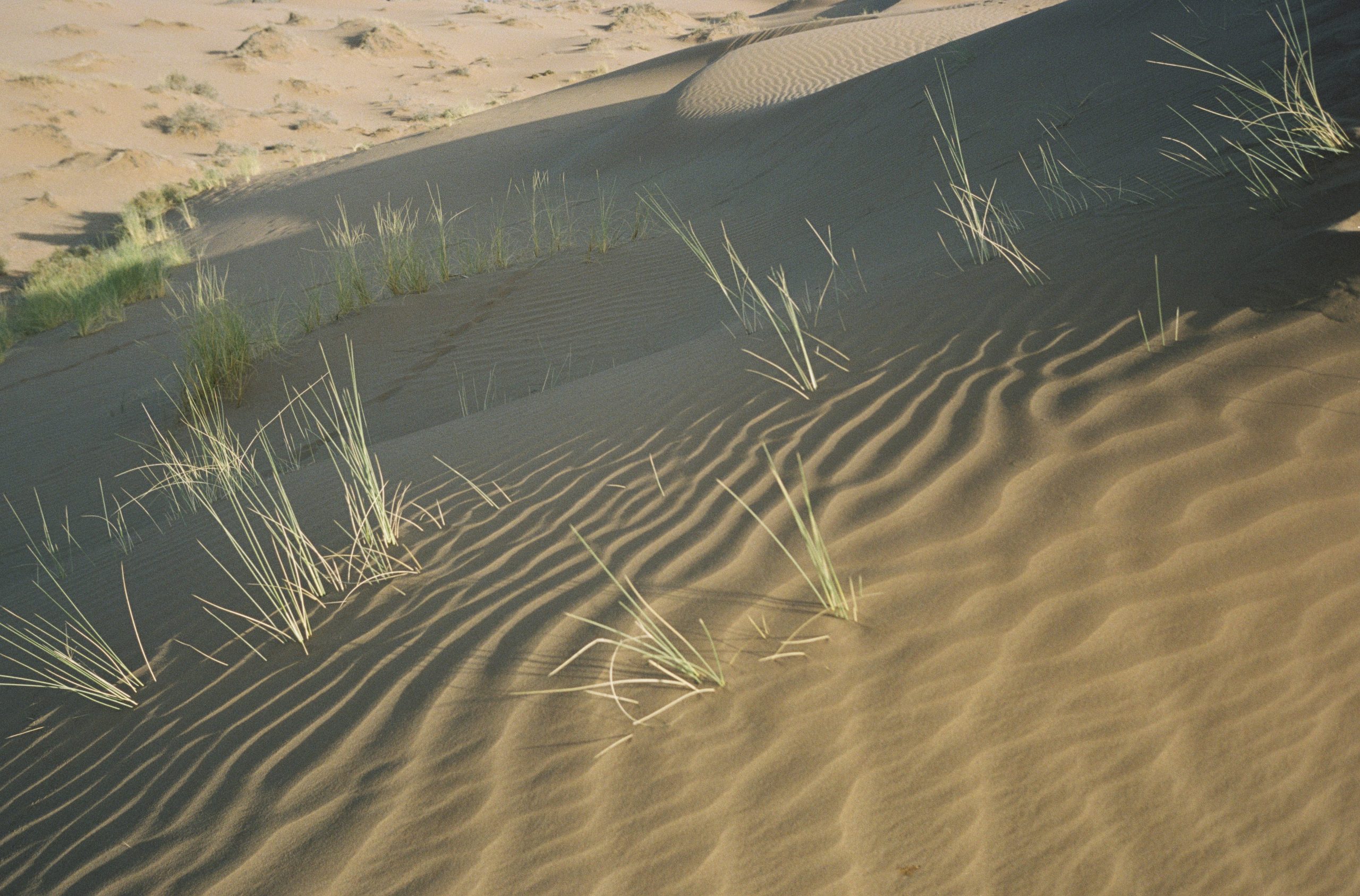 Fotografia del viatge a Agadir, Marroc, capturada per Júlia Olivé Studio, artista multidisciplinar especialitzada en fotografia, disseny i il·lustració.